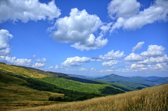 praca podkarpackie