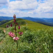 Bieszczady