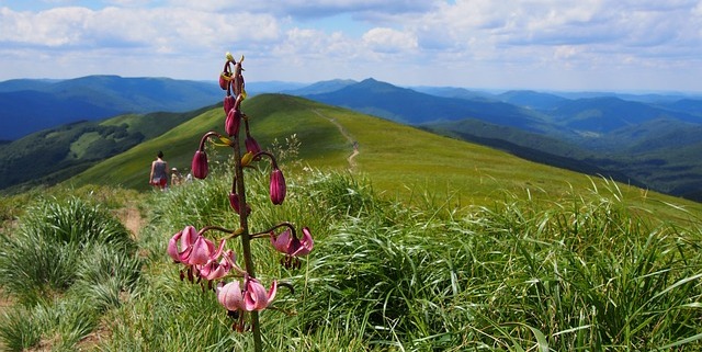 Bieszczady