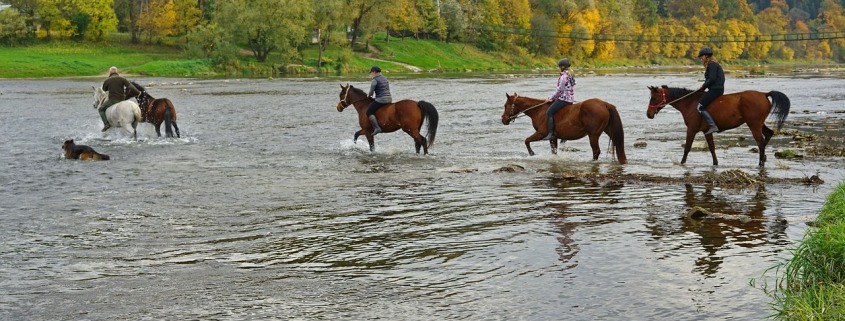 Bieszczady